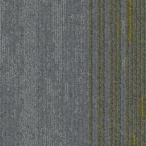 Disruptive Path - BT430