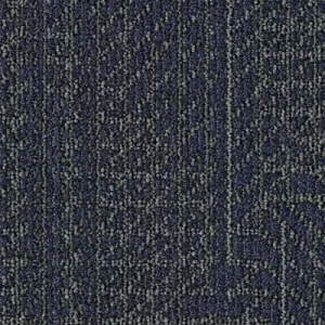 Hidden Dimension - BT497