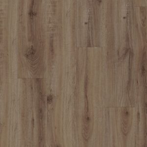 European Oak - 2870