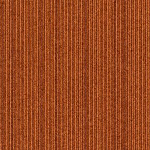 Expansion Point - C023